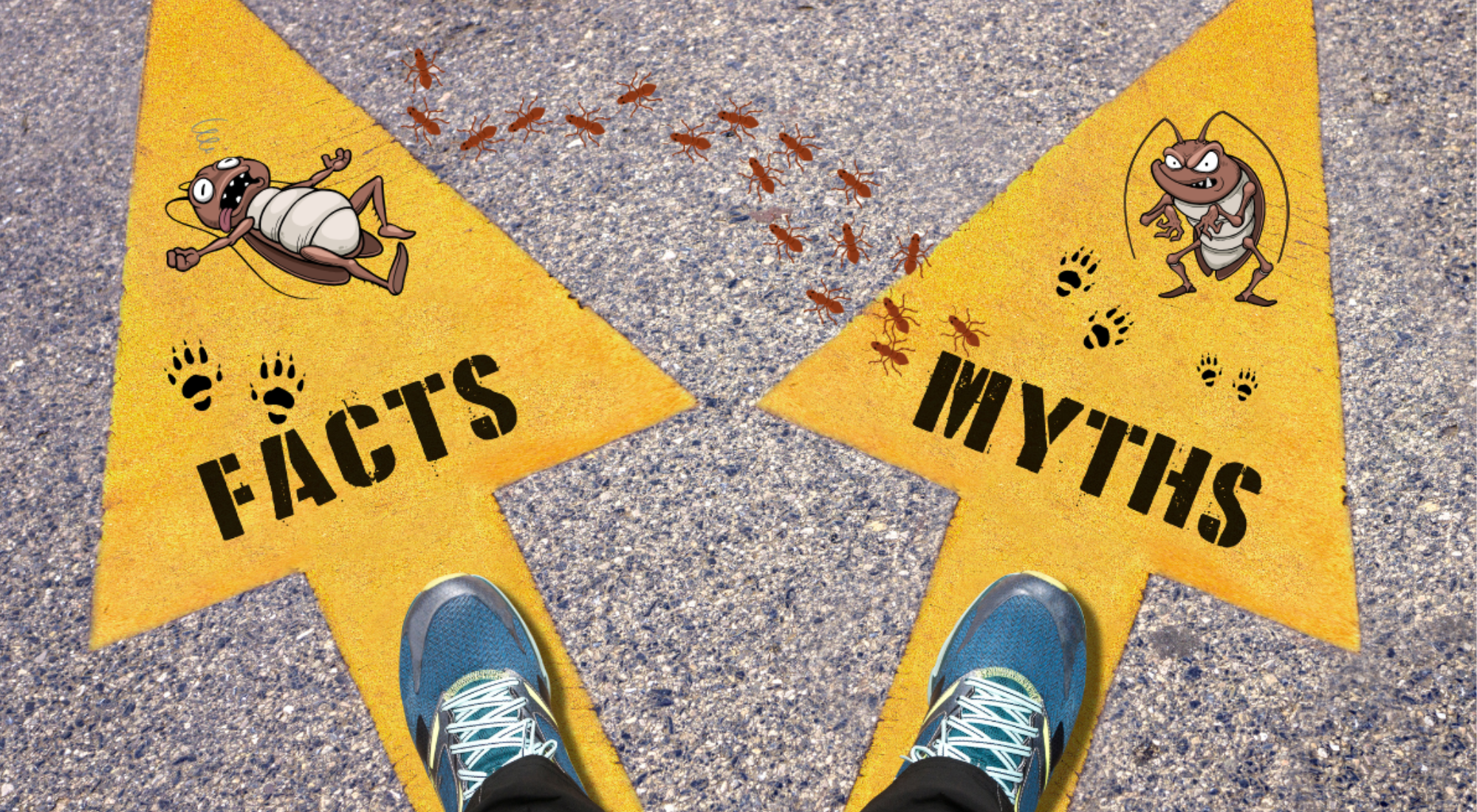 Facts and Myths about Pest control