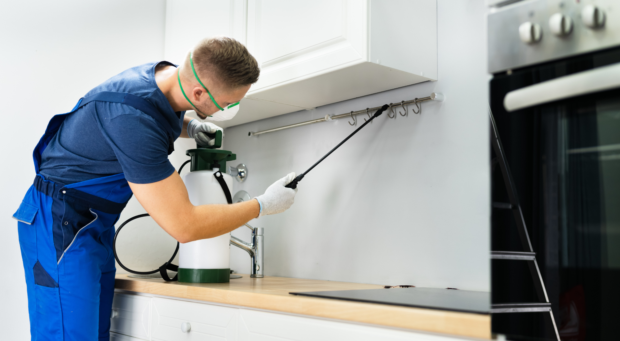 Pest control technician manages for a pest-free home