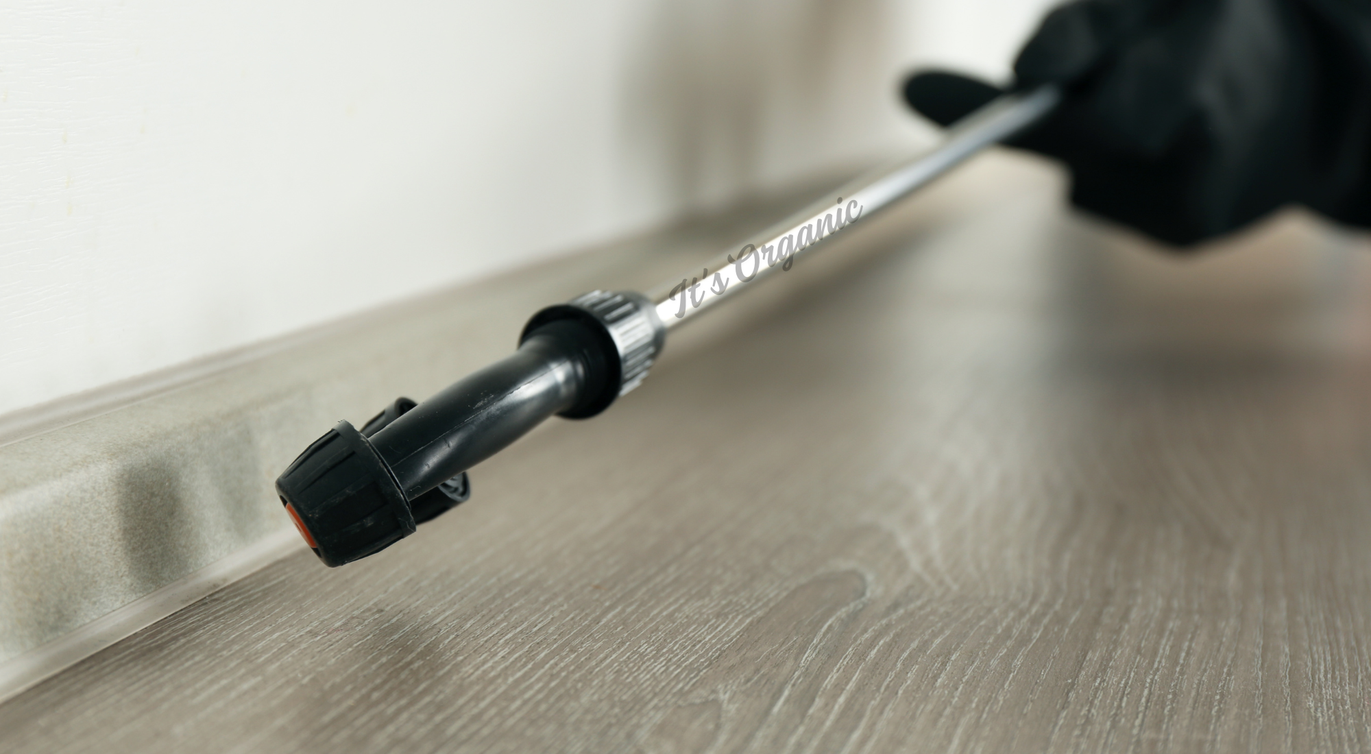 Organic pest control for a pest free home