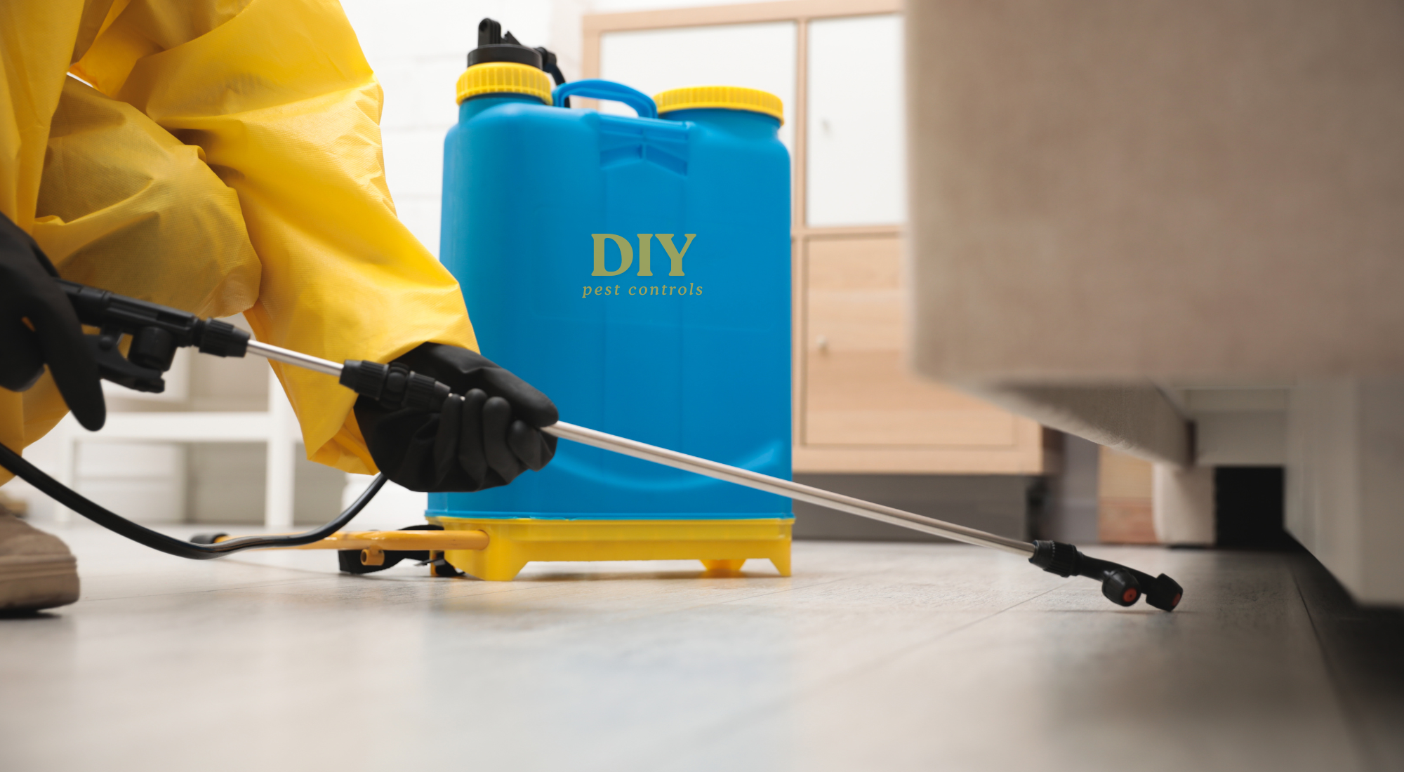DIY pest control tips for managing minor home infestations effectively