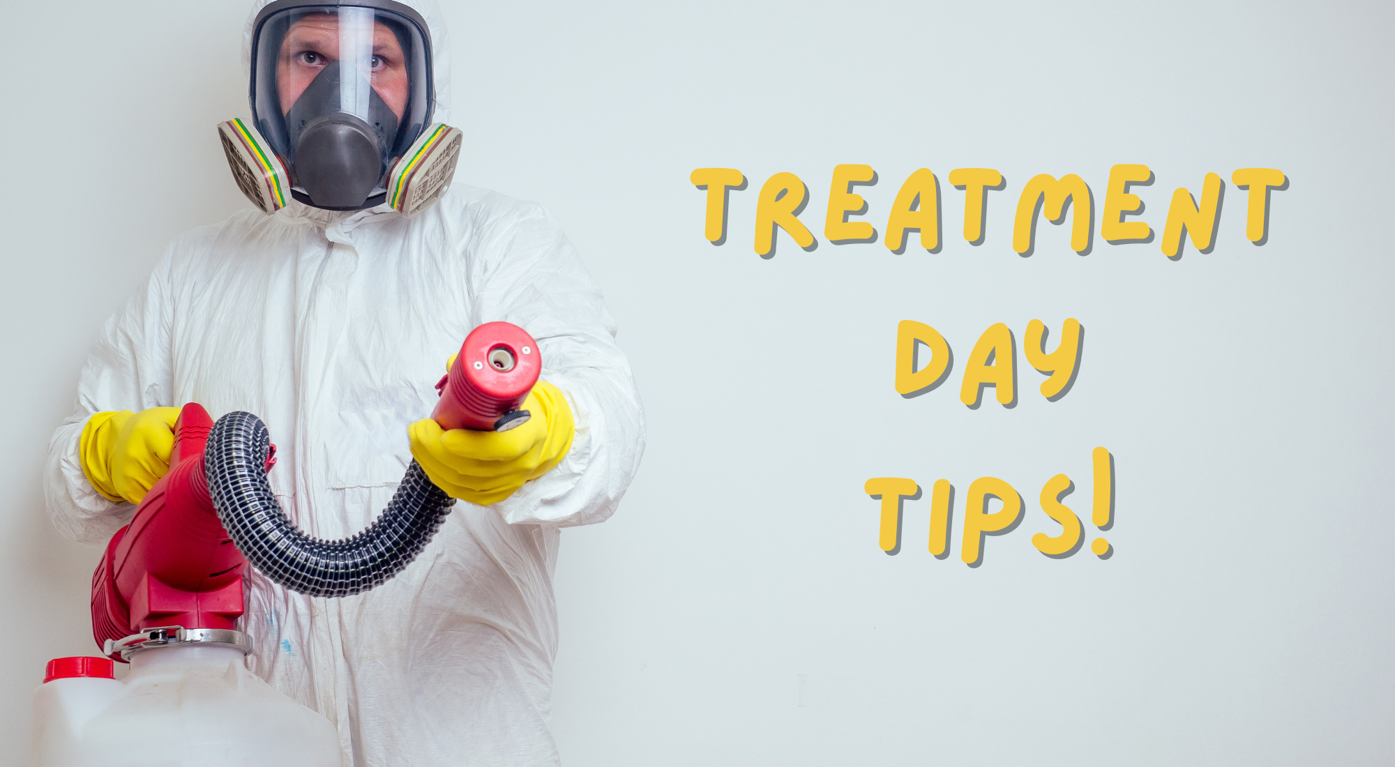 Treatment Day Tips for Home Pest Control