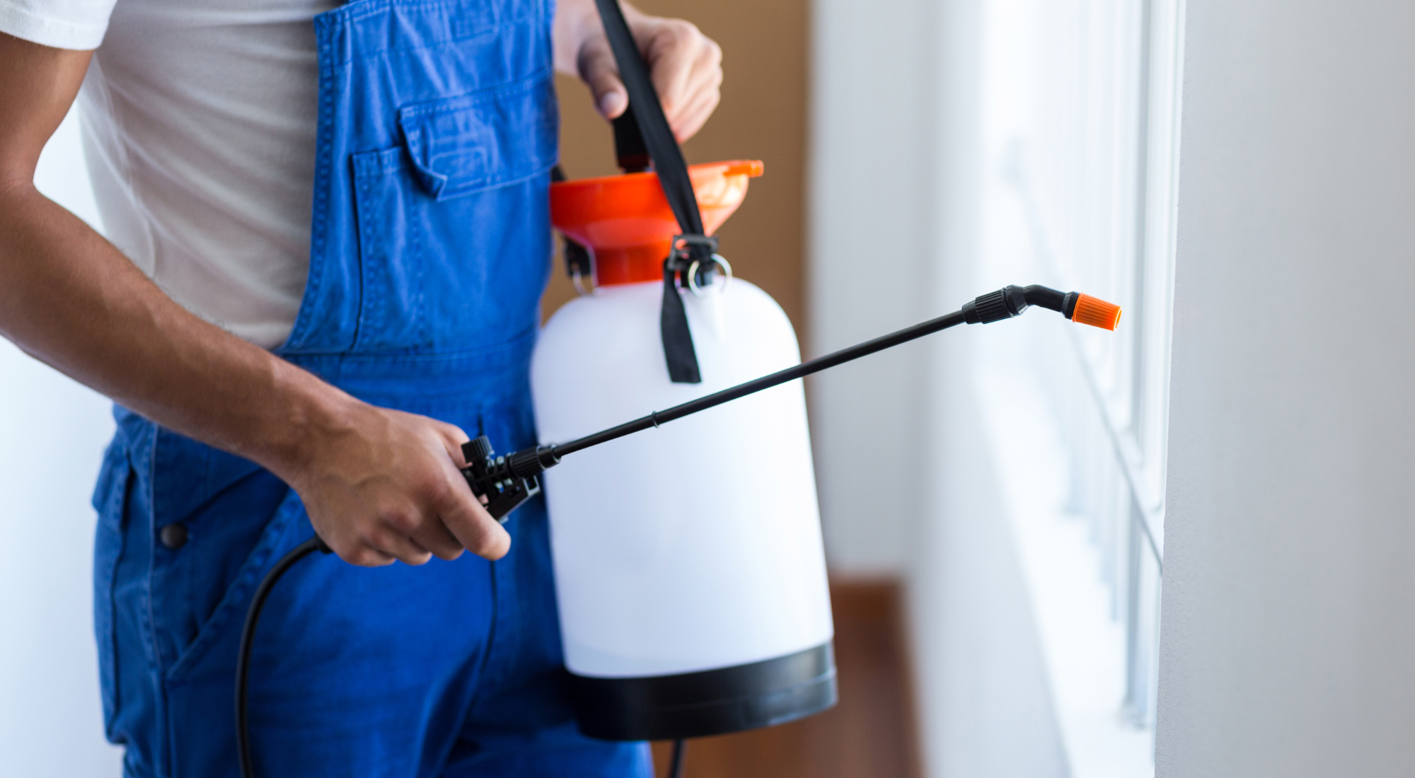 Pest Technician for Seasonal Pest Control