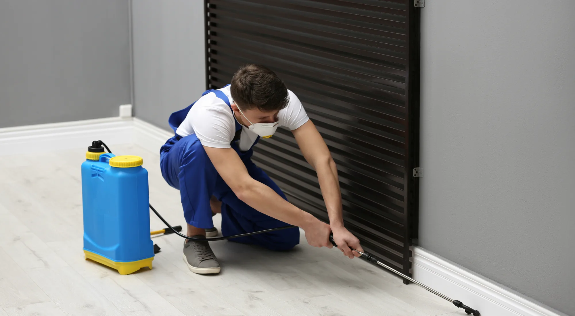 Pest technician spraying on cracks